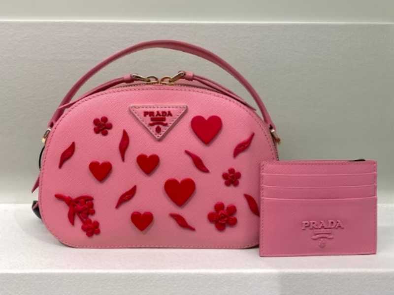 Inventory of Popular Materials for Women's Bags